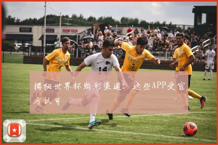 揭秘世界杯购彩渠道：这些APP受官方认可