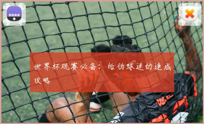 世界杯观赛必备：给伪球迷的速成攻略