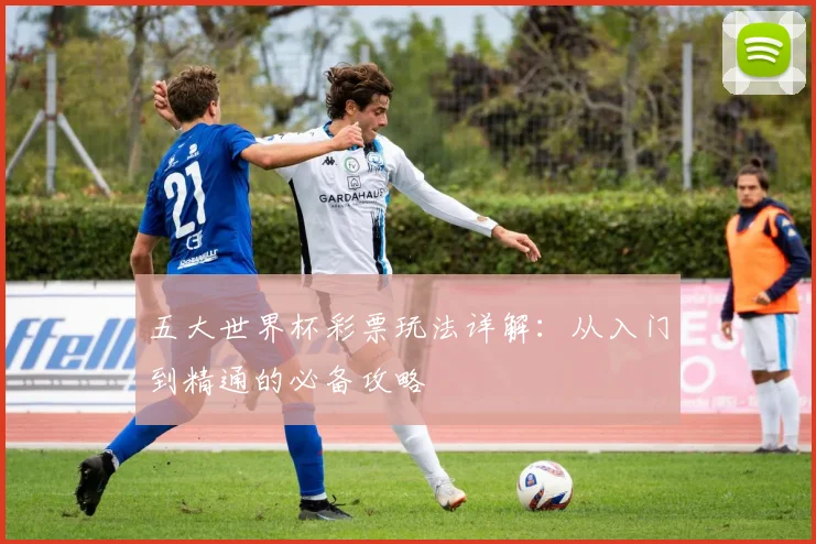 五大世界杯彩票玩法详解：从入门到精通的必备攻略