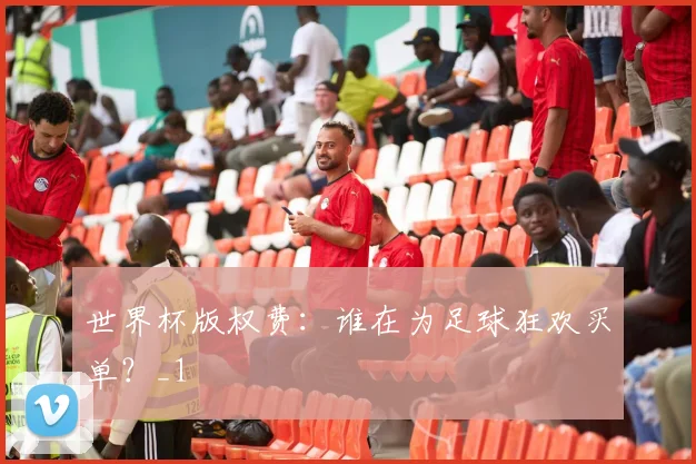 世界杯版权费：谁在为足球狂欢买单？_1