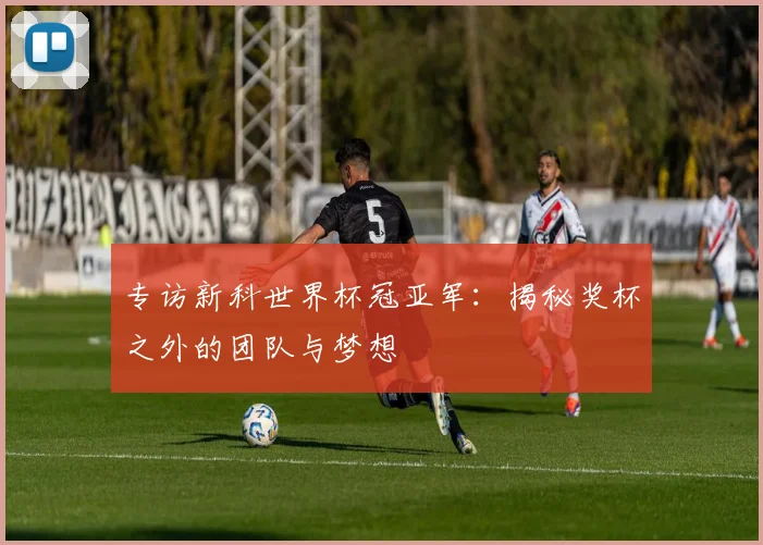 专访新科世界杯冠亚军:揭秘奖杯之外的团队与梦想