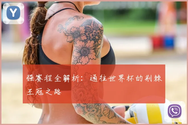 强赛程全解析：通往世界杯的荆棘王冠之路