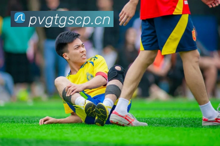 华体网首页官网发展历程